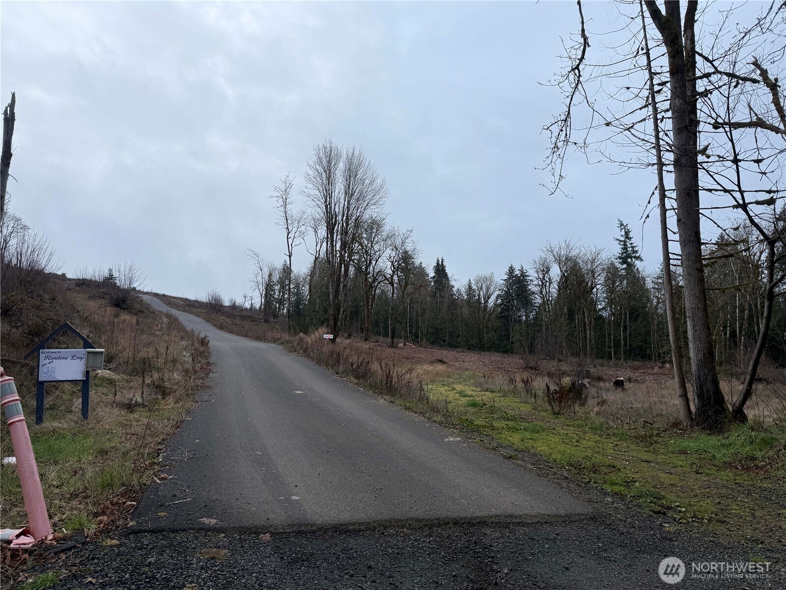 6-track 6-track Rimstone Loop Belfair, WA 98528 - Photo 4 of 7 a view of a dry yard with trees