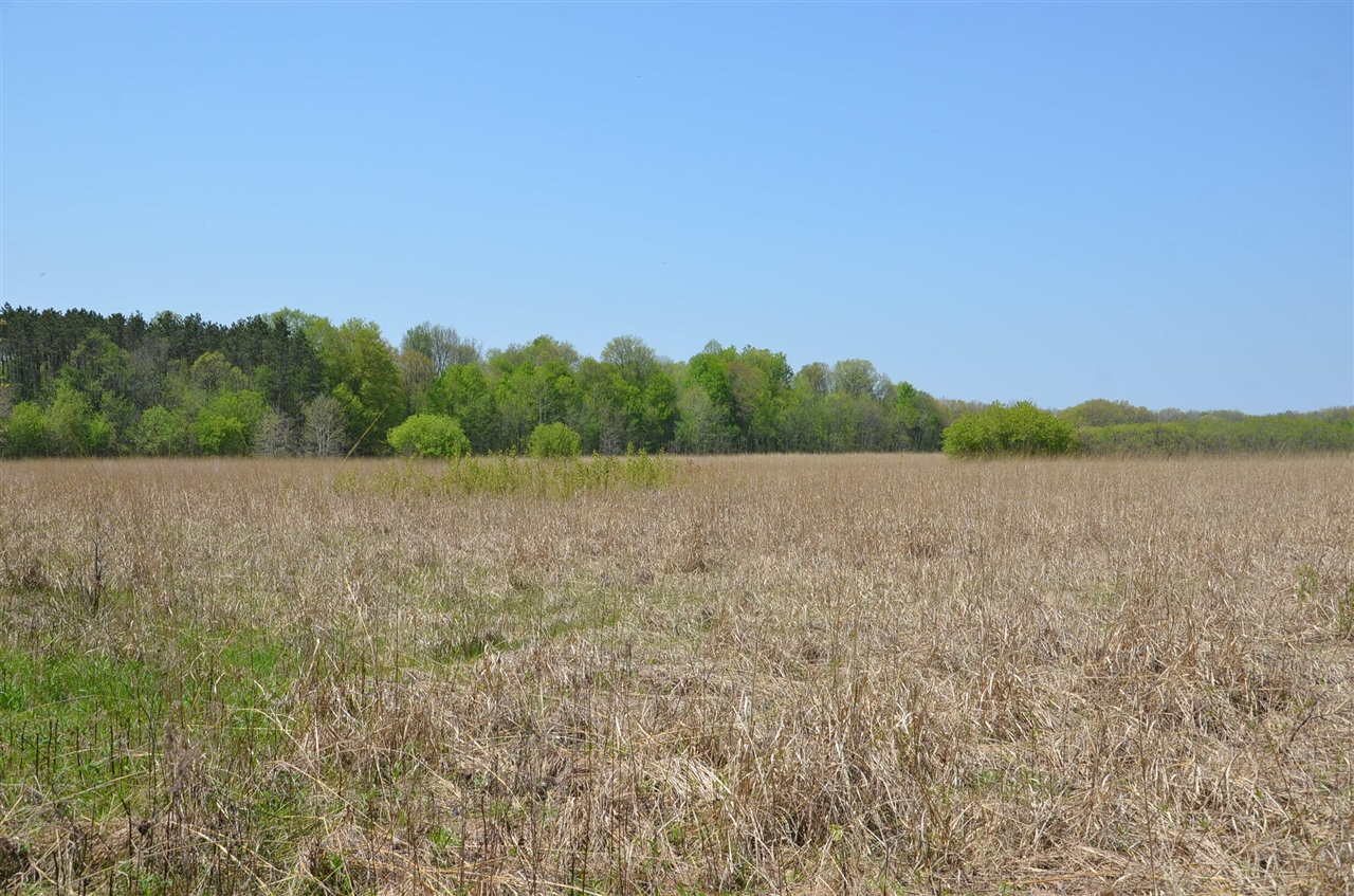 2255 River Road Hastings, MI 49058 - Photo 53 of 94