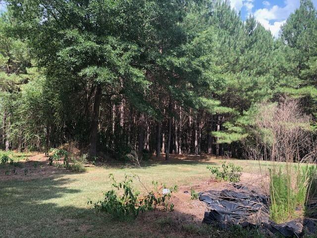 980 Nichols Road Nauvoo, AL 35578 - Photo 25 of 32 Gallery Image 25