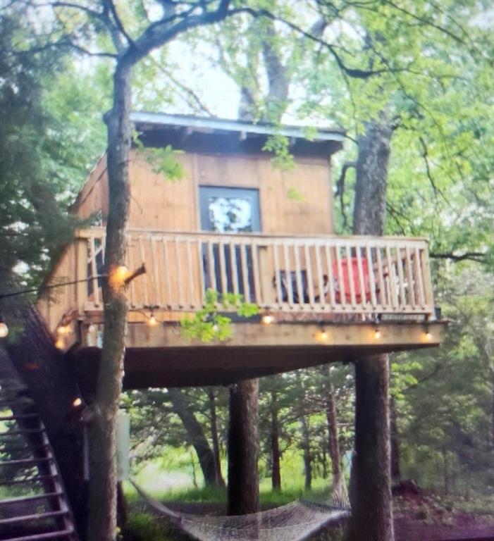 4874 Luella Road Sherman, TX 75090 - Photo 22 of 24 Treehouse (can be income producing)