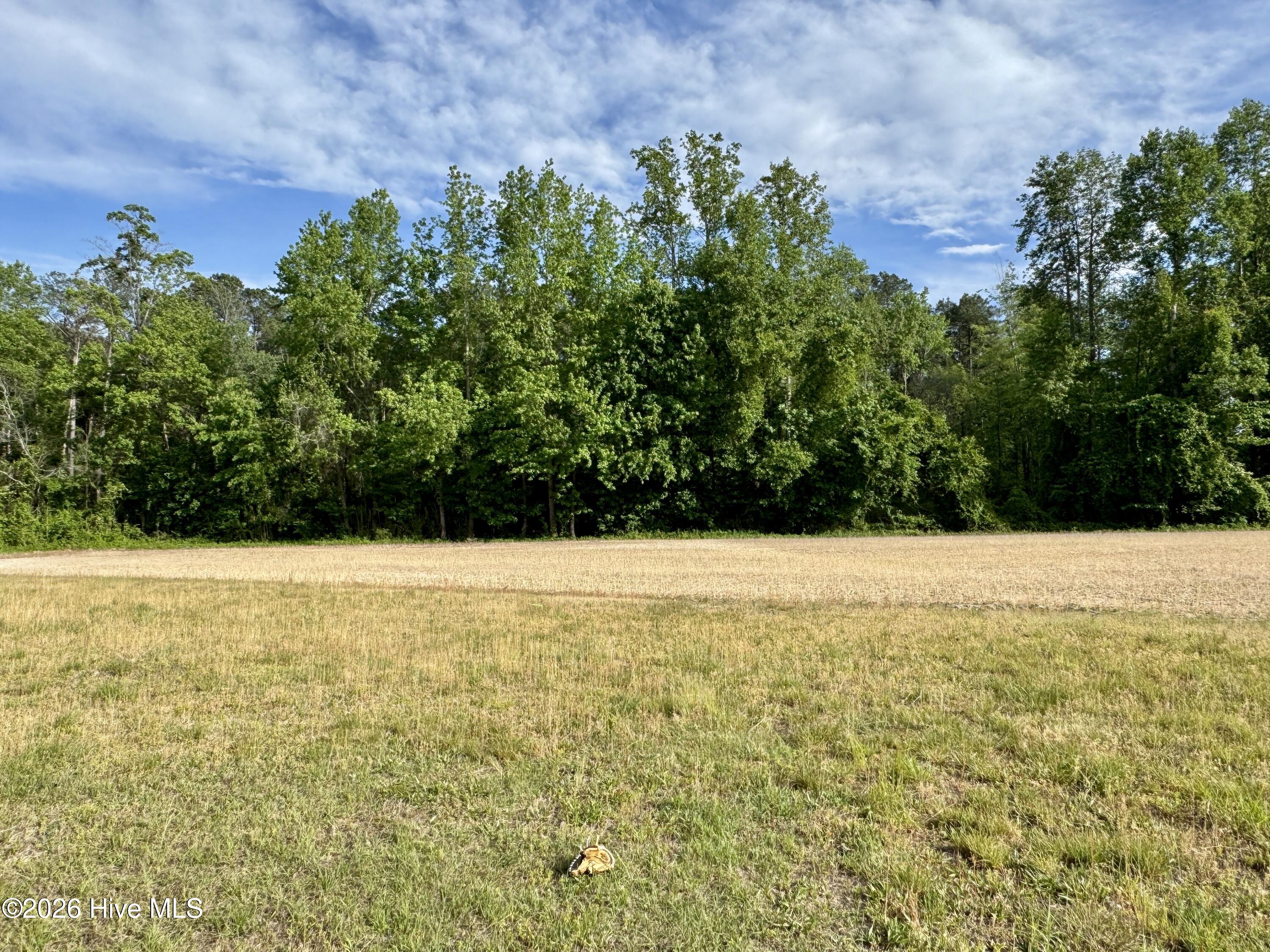 6332 Pine Meadows Road Elm City, NC 27822 - Photo 5 of 5 IMG_2171