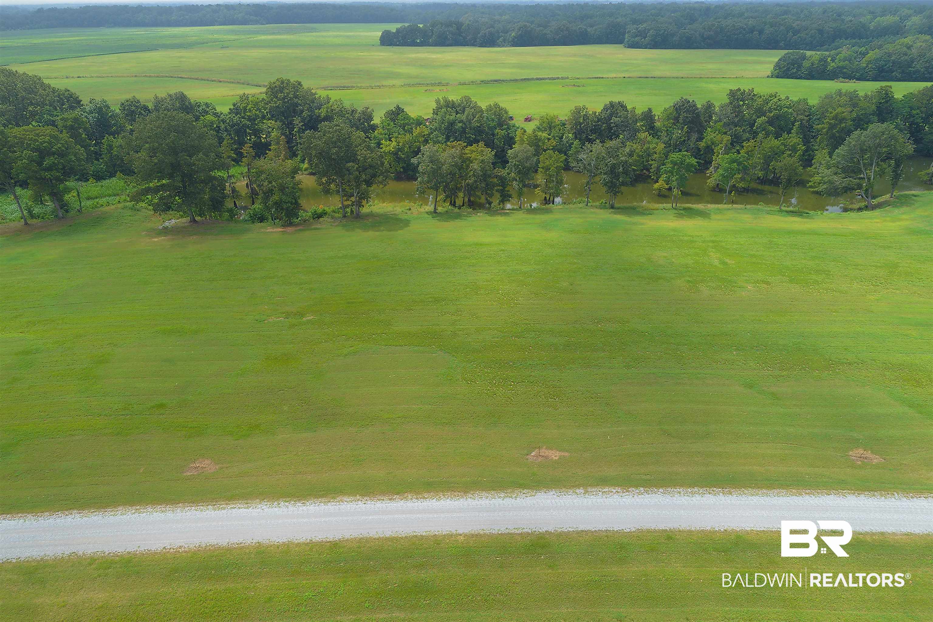 Lot 27 Judge Greene Place Road Greensboro, AL 36744 - Photo 46 of 48