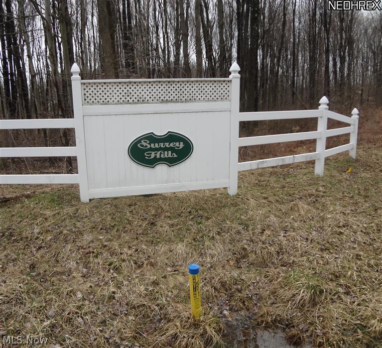 17386 Barnstable Road Middlefield, OH 44062 - Photo 5 of 23 Surrey Hills Development