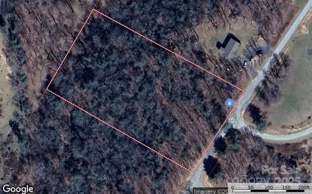 a black and white wall with a trees in the background