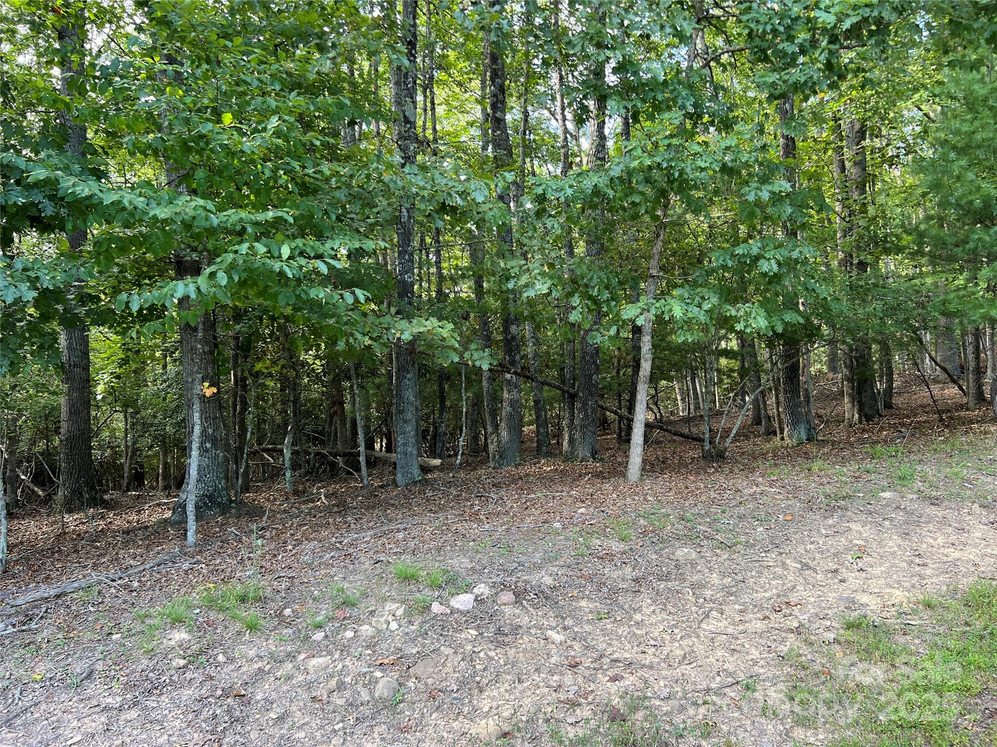 34 Fox Crest, Unit NONE Laurel Springs, NC 28644 - Photo 14 of 22 a view of outdoor space with trees