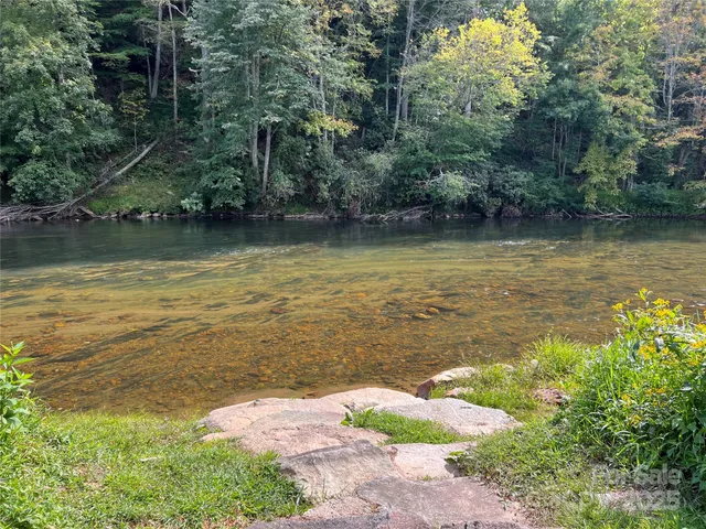 a view of a lake with a large trees