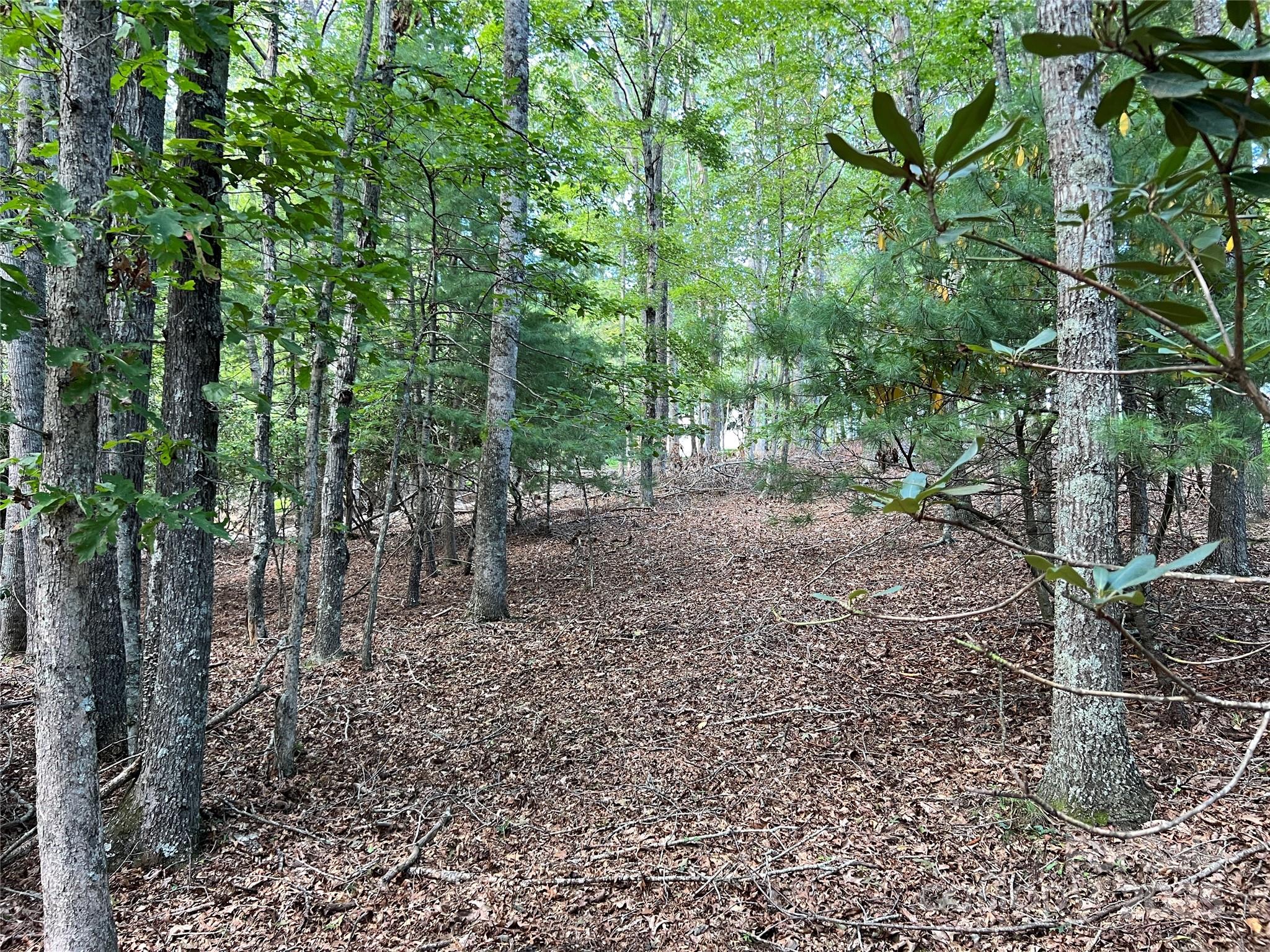 34 Fox Crest, Unit NONE Laurel Springs, NC 28644 - Photo 8 of 22 a view of a garden with large trees