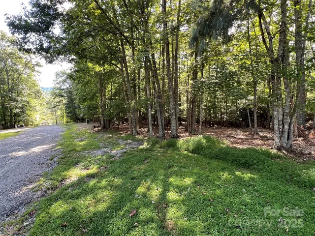 a view of backyard with green space