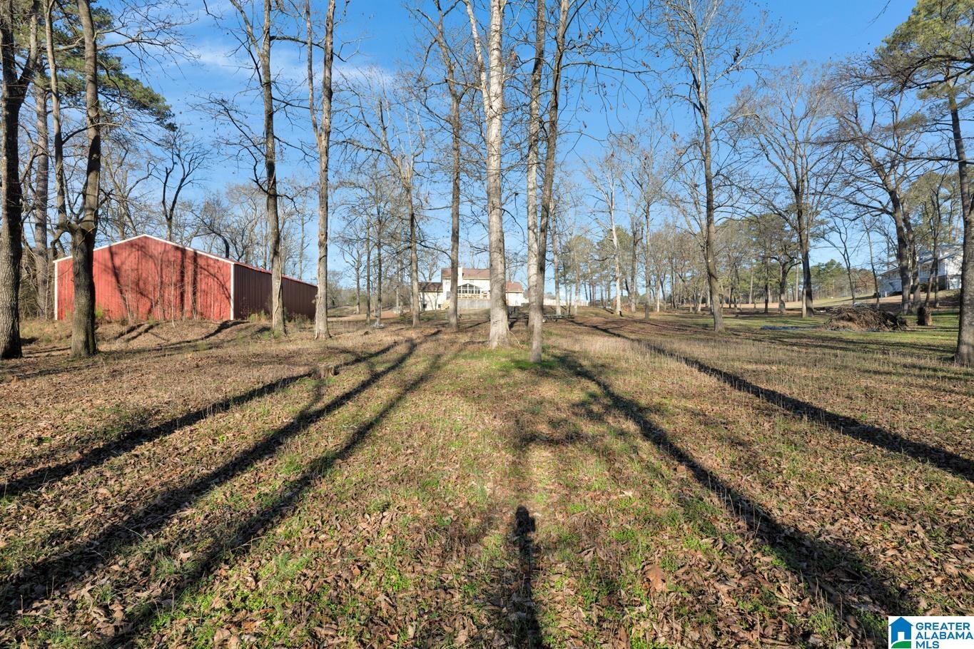 4634 Warrior Jasper Road Dora, AL 35062 - Photo 51 of 56