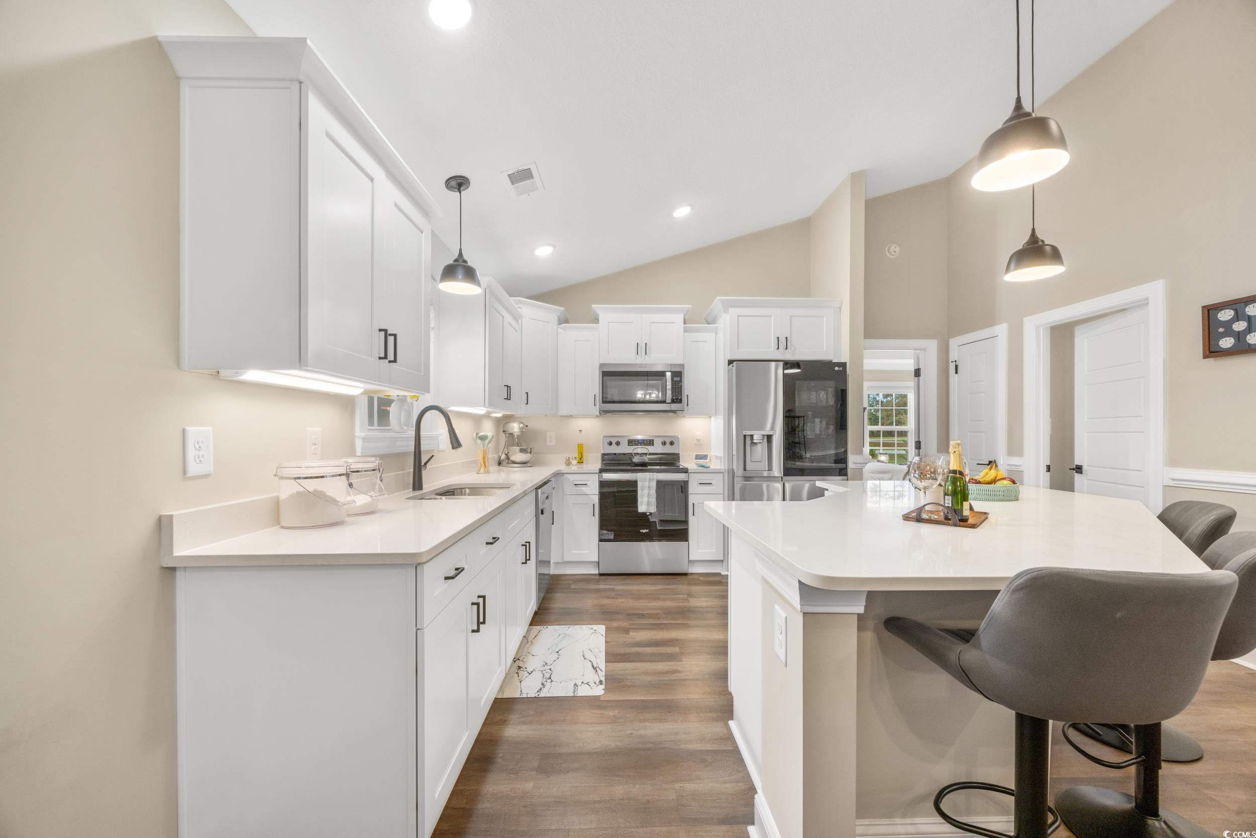 3390 Dusty Road Loris, SC 29569 - Photo 11 of 33 Kitchen with stainless steel appliances, hanging l