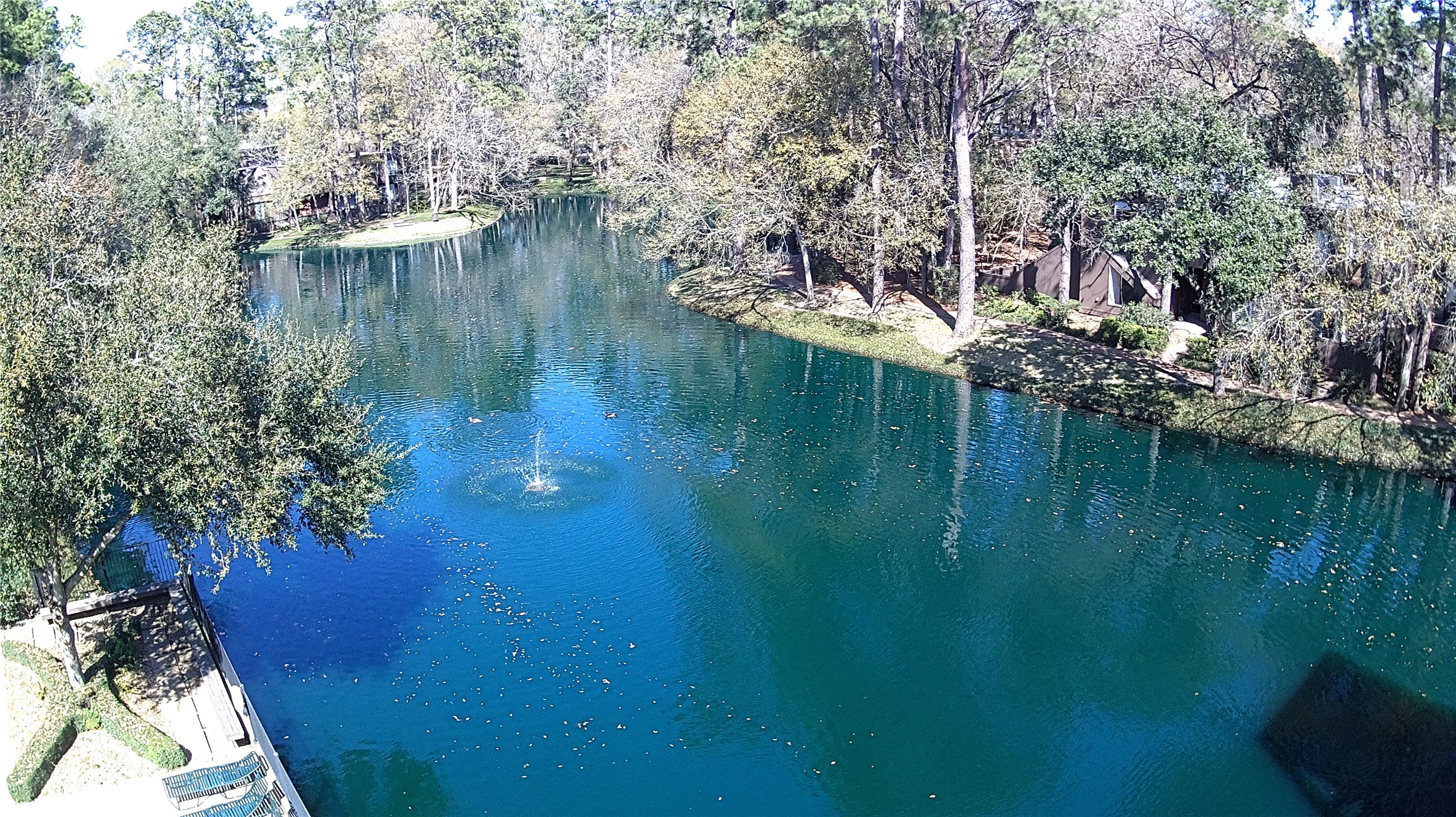 238 Litchfield Lane Houston, TX 77024 - Photo 21 of 25 Discover serene lakeside living in this exclusive complex, offering a tranquil escape within nature's embrace.