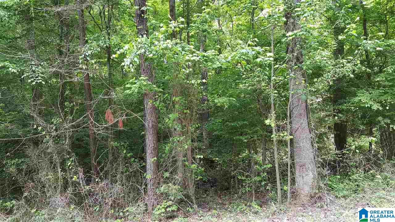 0 Miller Hollow Road, Unit 7 90 ACRES Attalla, AL 35954 - Photo 1 of 1