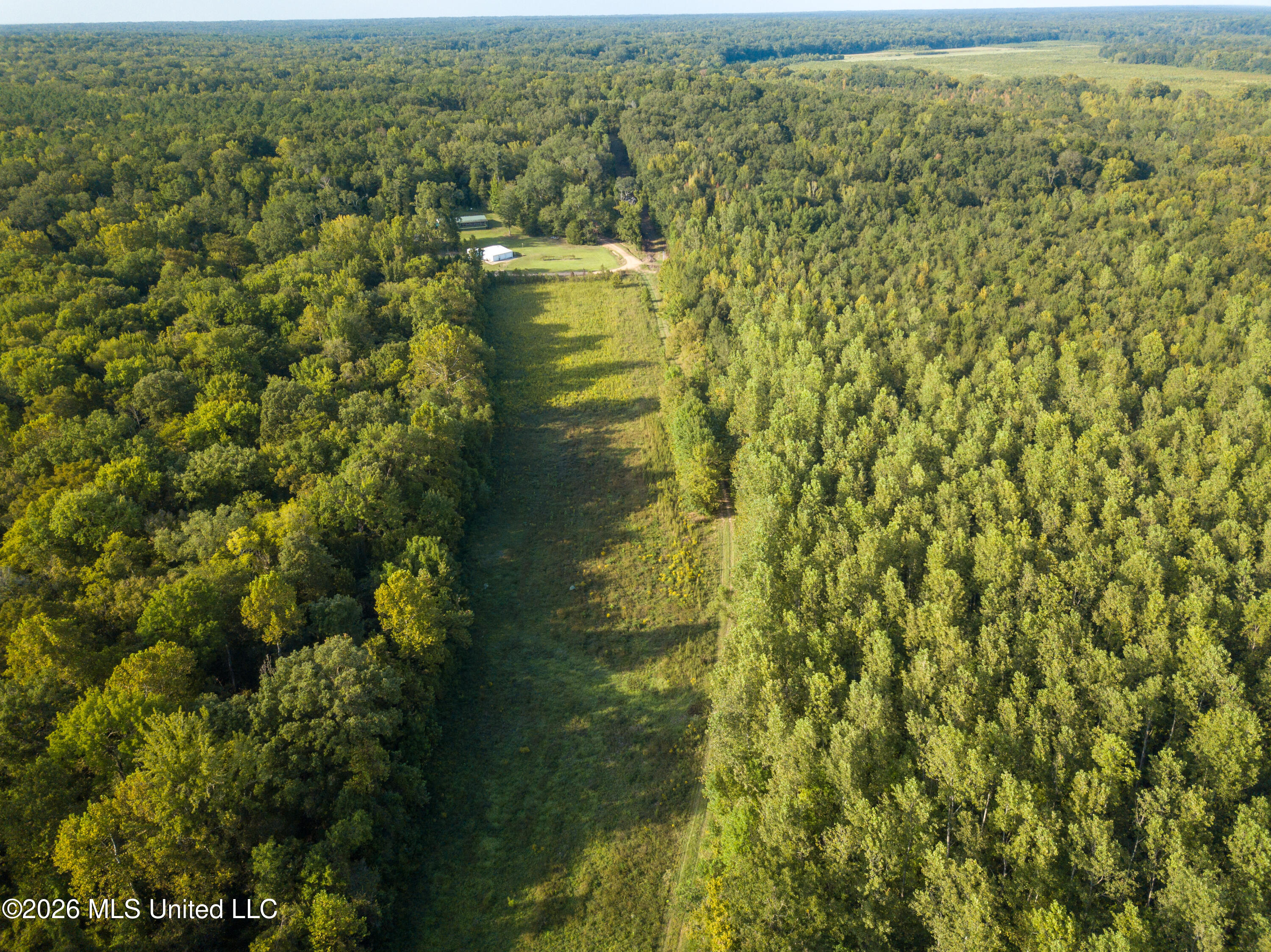 5163 Cox Ferry Road Bentonia, MS 39040 - Photo 19 of 78 DJI_0858