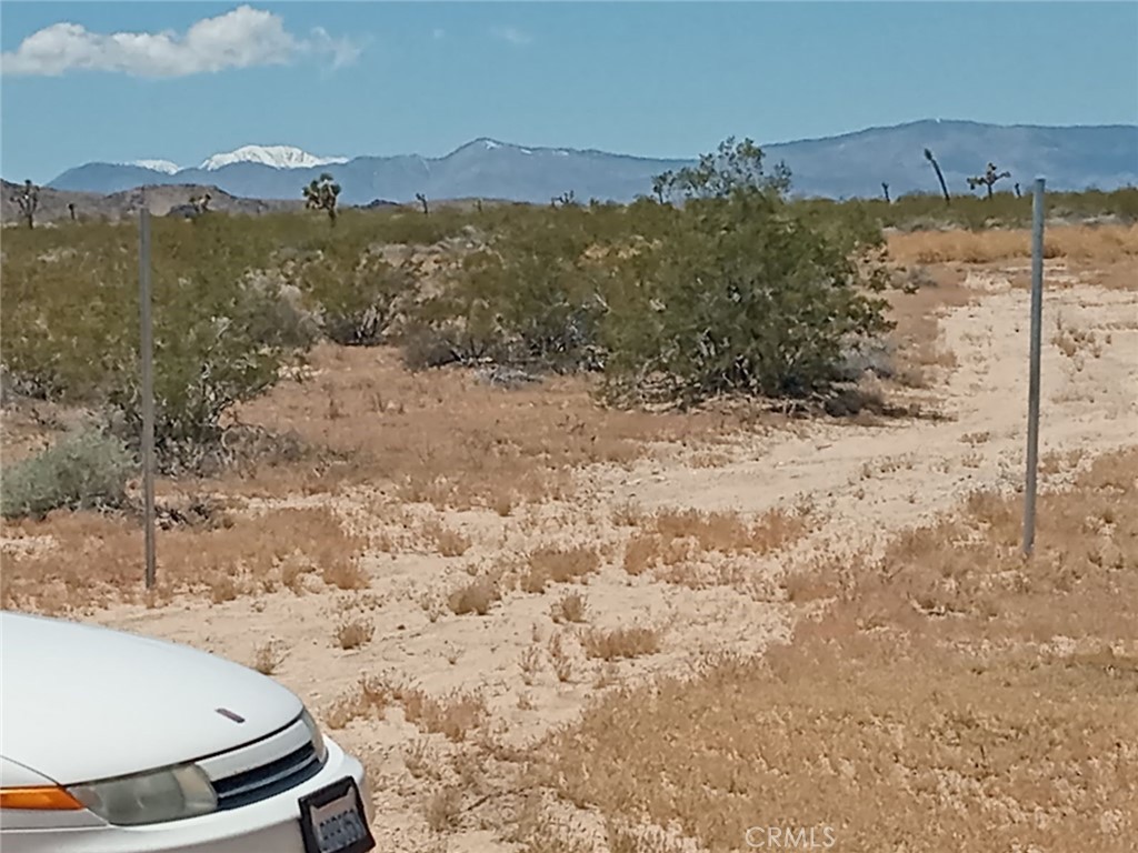 408 Stable Road Landers, CA 92285 - Photo 2 of 6 a view of a sky from a yard