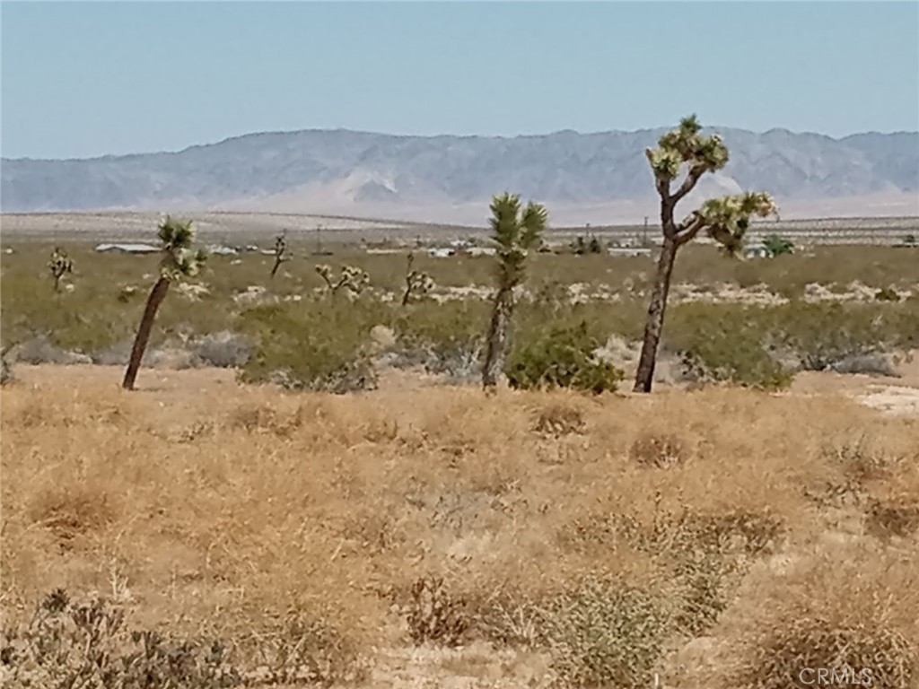 408 Stable Road Landers, CA 92285 - Photo 3 of 6 a view of ocean view