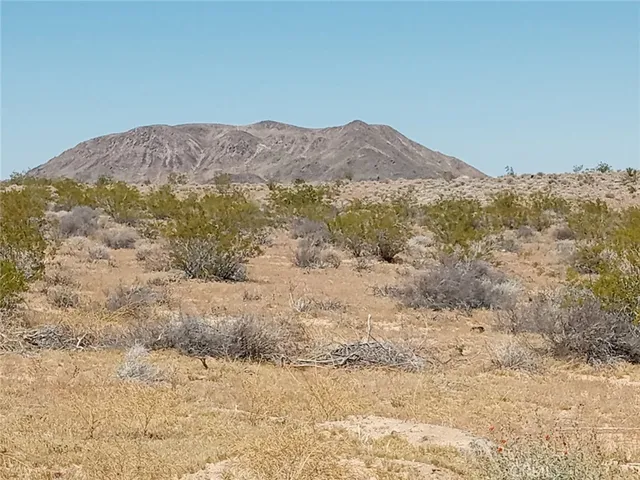a view of a dry yard