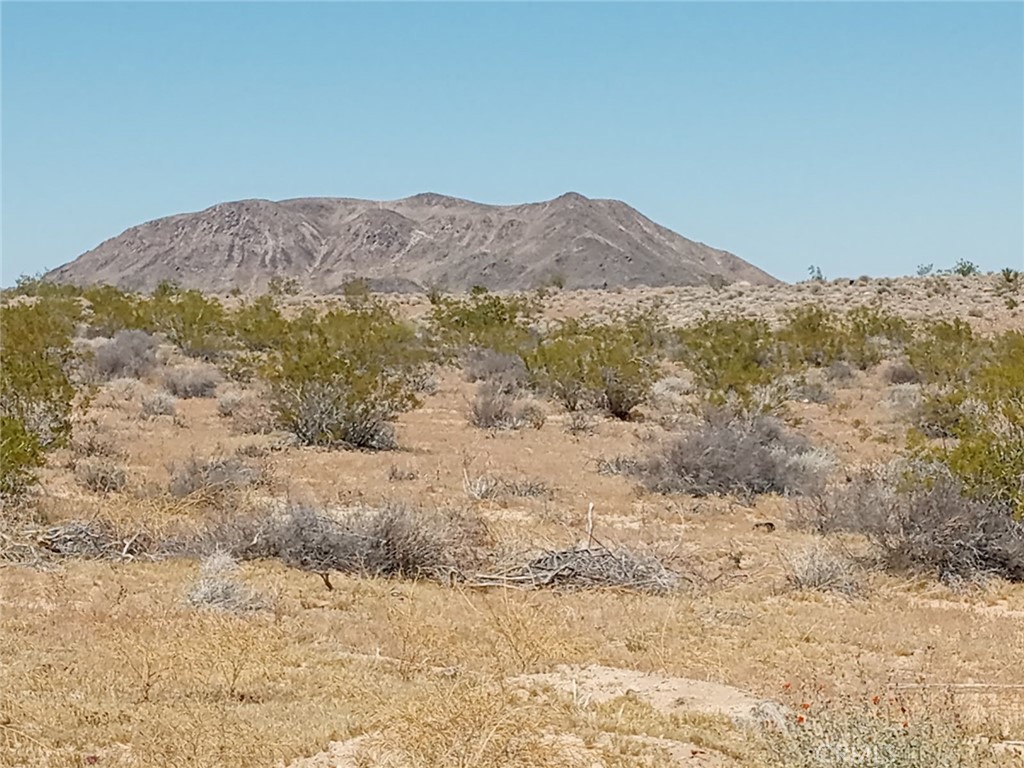 408 Stable Road Landers, CA 92285 - Photo 4 of 6 a view of a dry yard