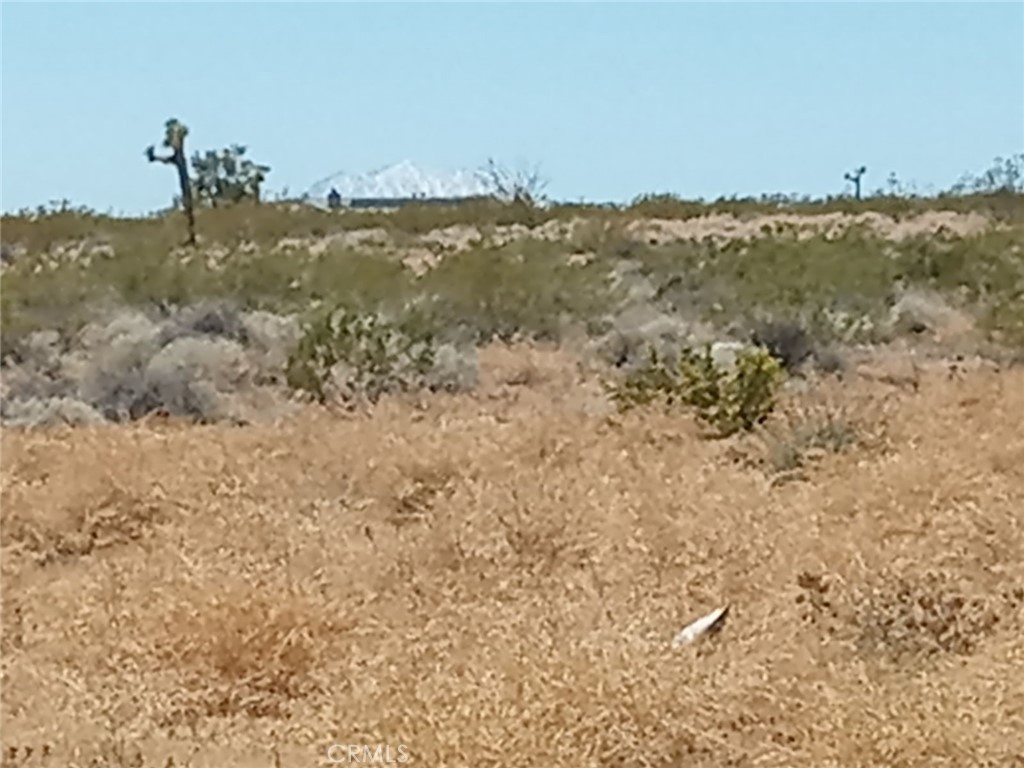 408 Stable Road Landers, CA 92285 - Photo 5 of 6 a view of a city