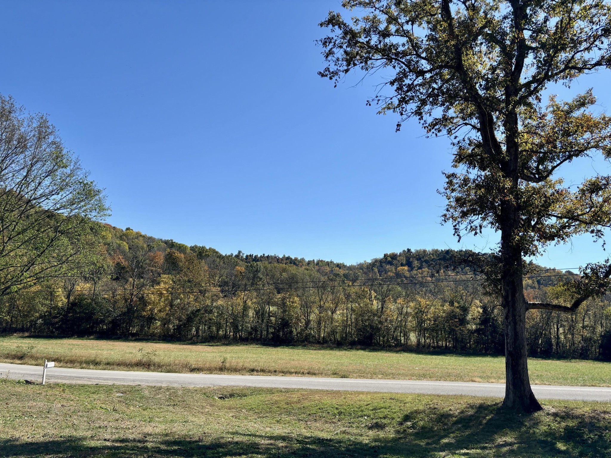 285 Lawrence Branch Road Beechgrove, TN 37018 - Photo 43 of 55