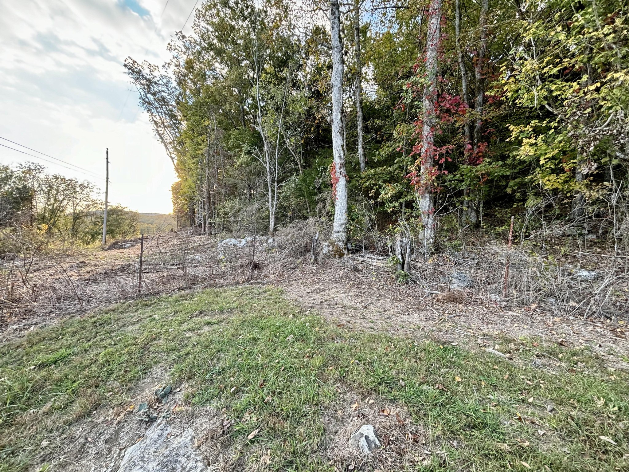 285 Lawrence Branch Road Beechgrove, TN 37018 - Photo 46 of 55
