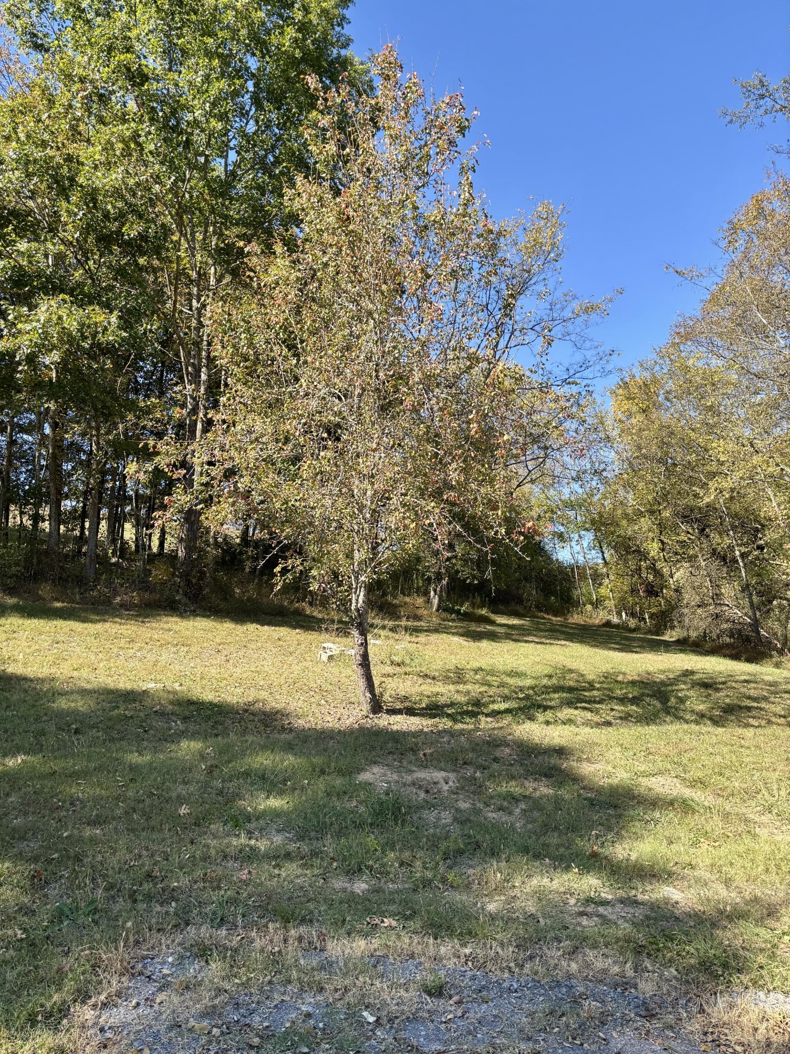 285 Lawrence Branch Road Beechgrove, TN 37018 - Photo 47 of 55