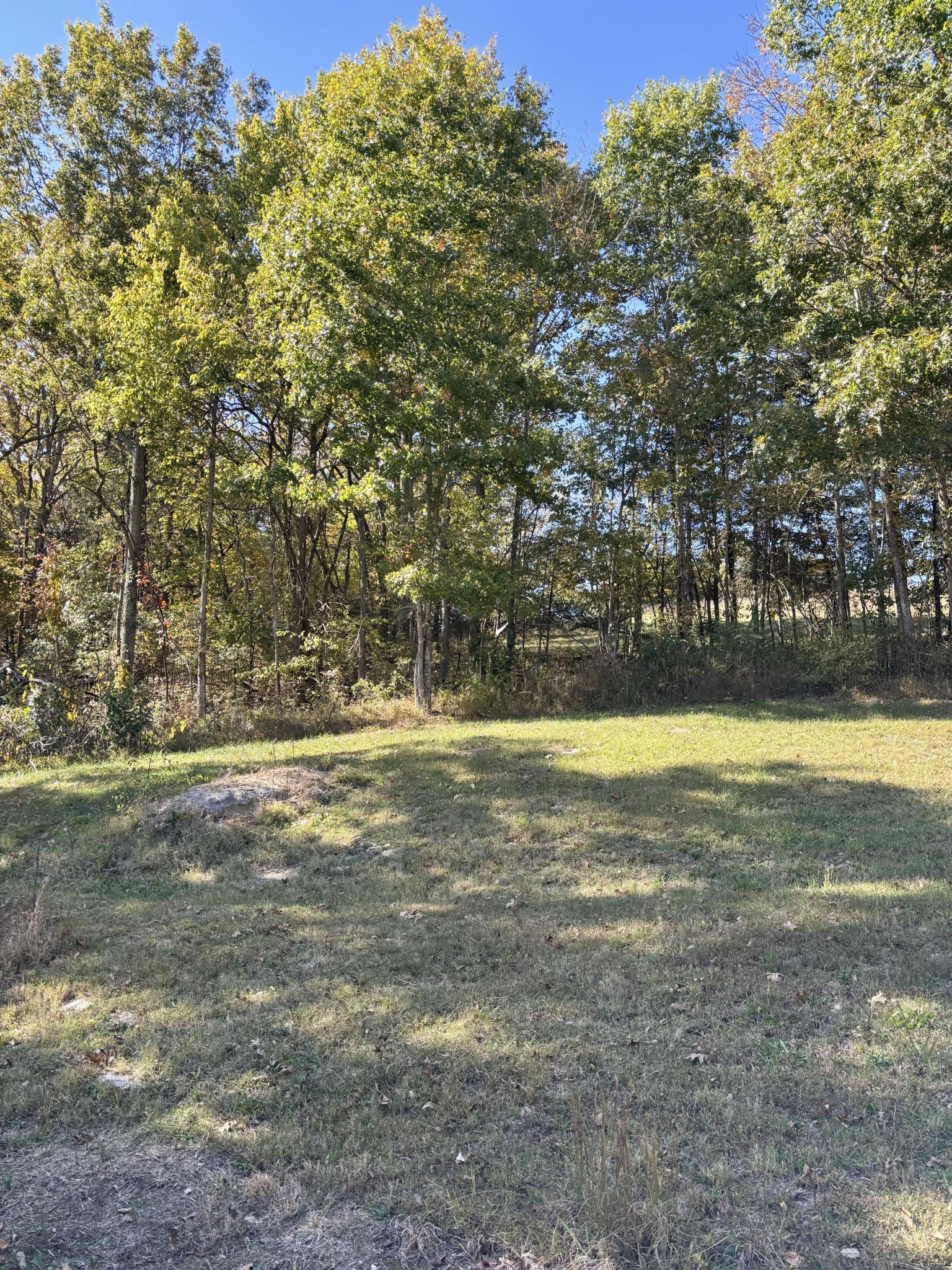 285 Lawrence Branch Road Beechgrove, TN 37018 - Photo 48 of 55