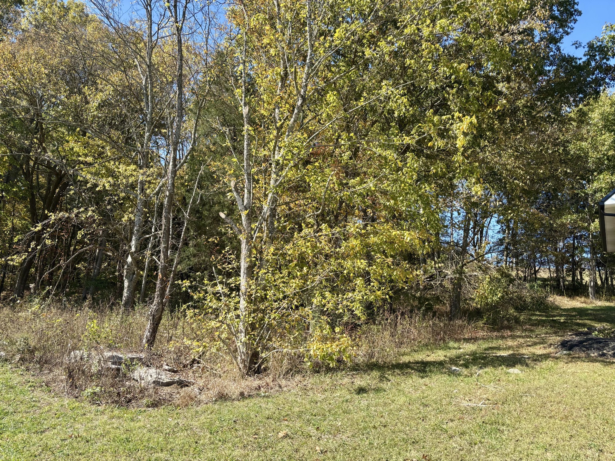 285 Lawrence Branch Road Beechgrove, TN 37018 - Photo 49 of 55