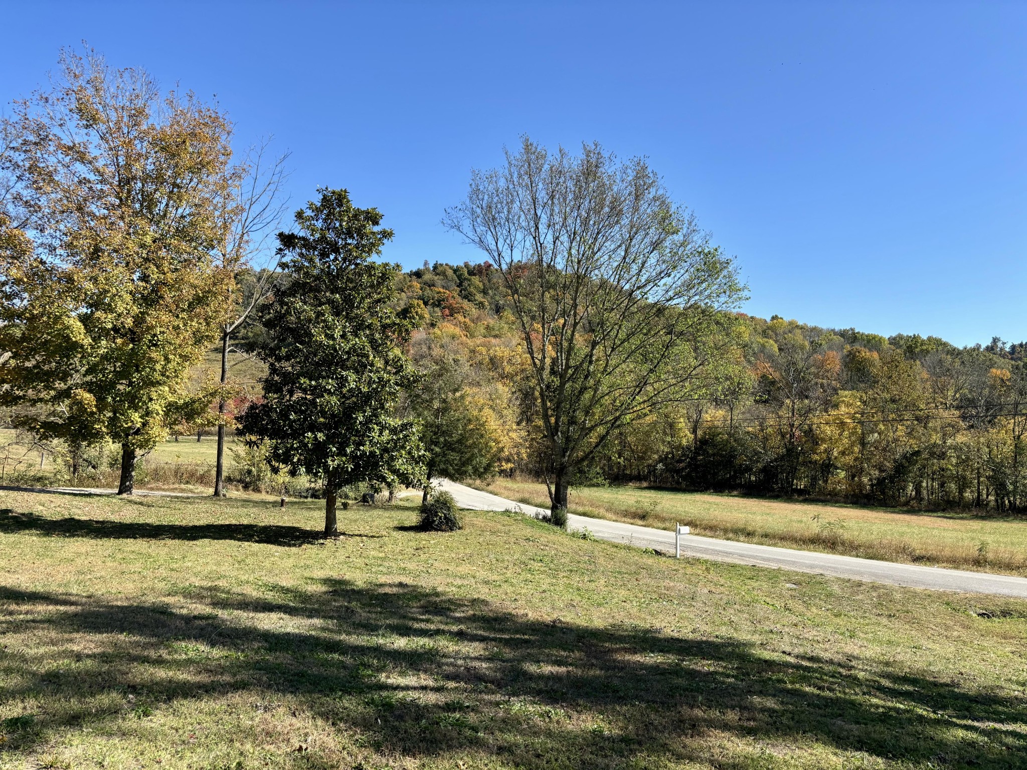 285 Lawrence Branch Road Beechgrove, TN 37018 - Photo 51 of 55