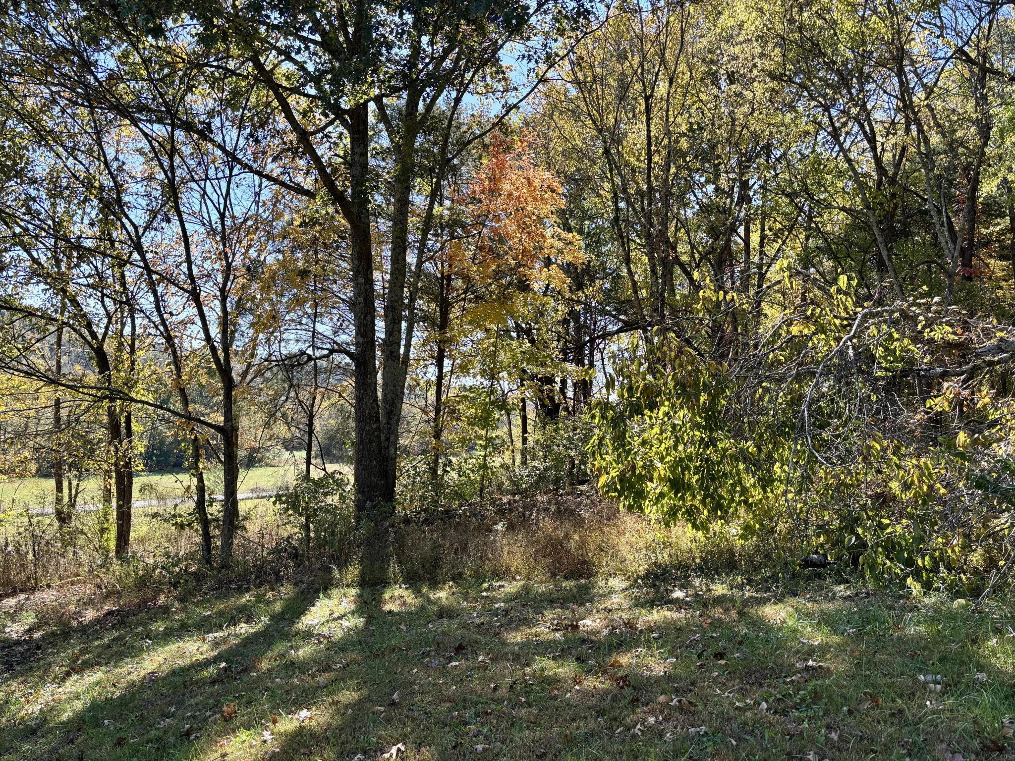 285 Lawrence Branch Road Beechgrove, TN 37018 - Photo 55 of 55