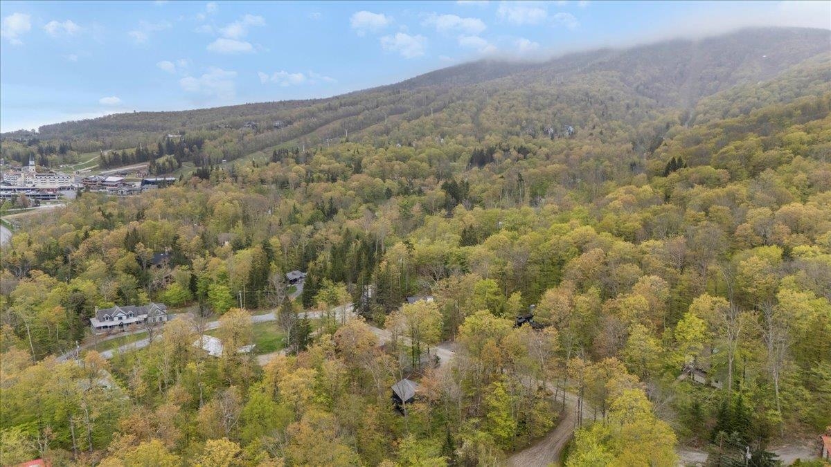 6 Roundtree Road Winhall, VT 05340 - Photo 28 of 28