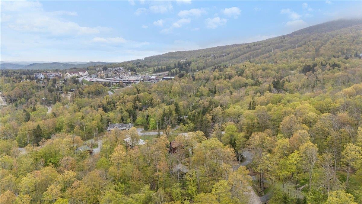 6 Roundtree Road Winhall, VT 05340 - Photo 3 of 28