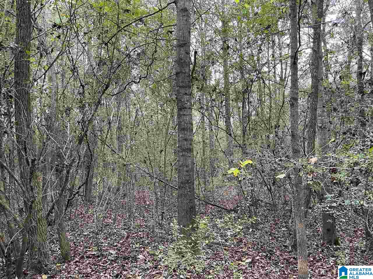 9 Highway 9, Unit 12 Heflin, AL 36264 - Photo 6 of 10