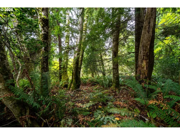 $150,000 | Rowe Street, Unit 1900, Wheeler, OR 97147