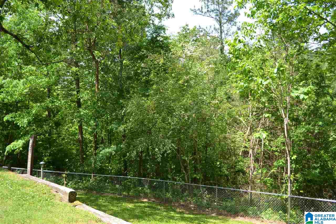 52 Oak Drive Remlap, AL 35133 - Photo 43 of 47