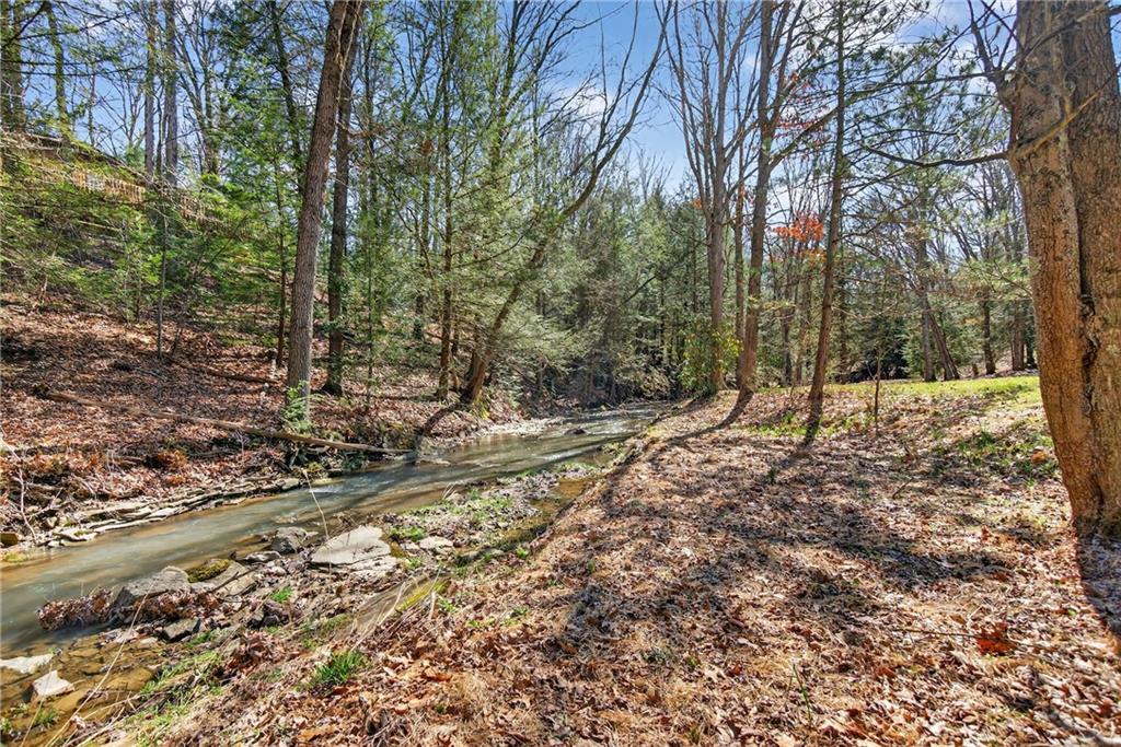 110 Bradford Park Road Baden, PA 15005 - Photo 11 of 14 a view of a forest filled with trees
