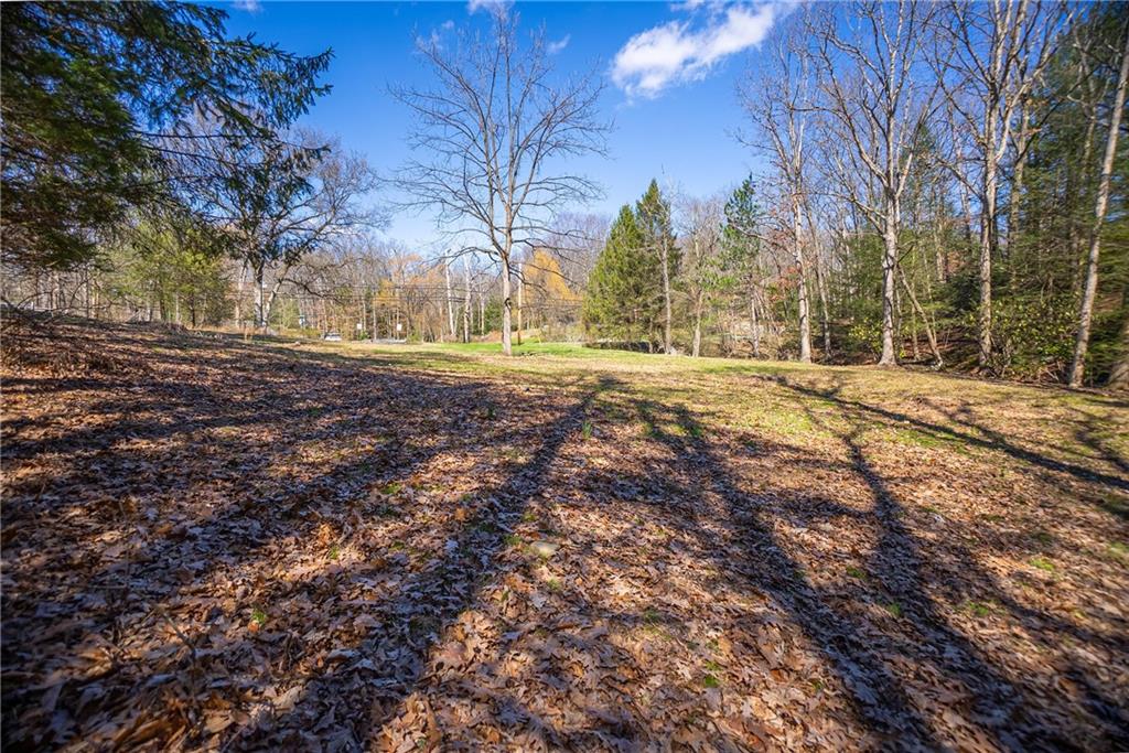 110 Bradford Park Road Baden, PA 15005 - Photo 8 of 14 a view of dirt yard with a large tree