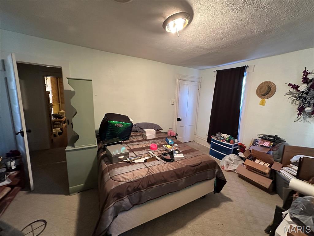 226 North Shepherd Street Ironton, MO 63650 - Photo 23 of 32