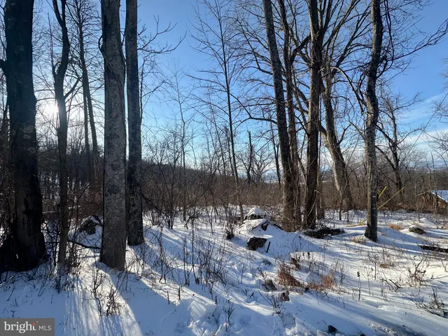 $10,000 | Lot 71 High Top Road, Linden, VA 22642