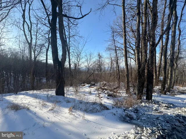 $10,000 | Lot 71 High Top Road, Linden, VA 22642