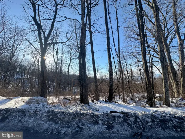 $10,000 | Lot 71 High Top Road, Linden, VA 22642