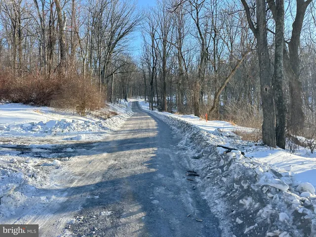 $10,000 | Lot 71 High Top Road, Linden, VA 22642