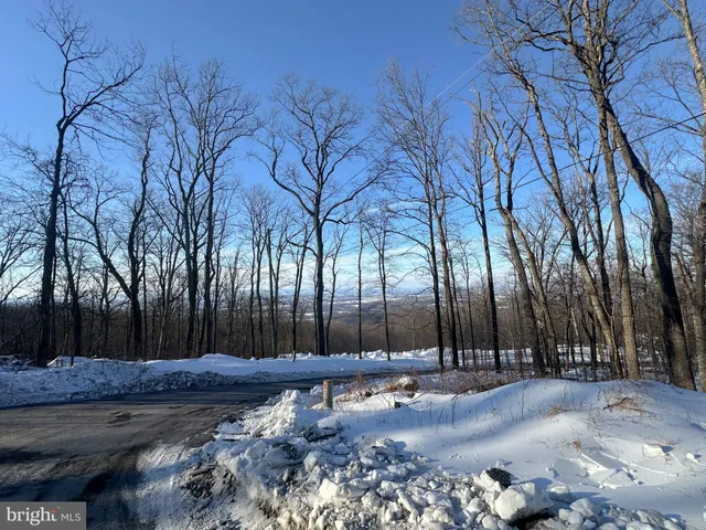 $10,000 | Lot 71 High Top Road, Linden, VA 22642