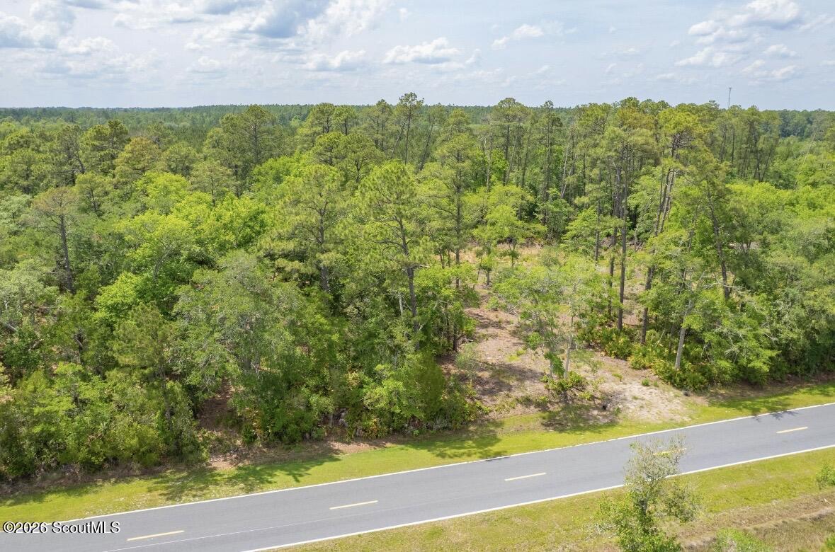 0 Piney Bluff Road Waverly, GA 31565 - Photo 25 of 26 IMG_9128