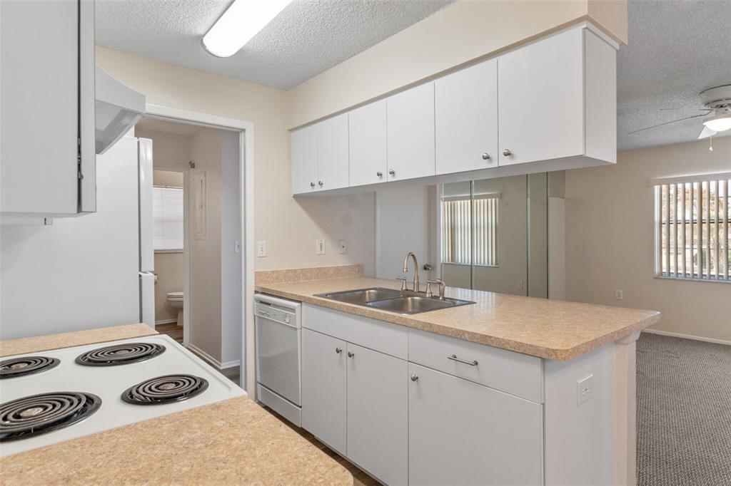 5446 Colchester Avenue Spring Hill, FL 34608 - Photo 12 of 34