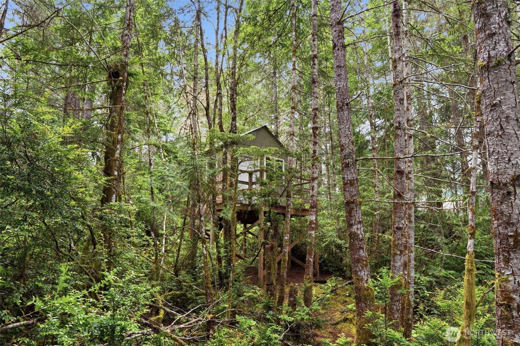 17137 Northwest Sunset Ridge Way Seabeck, WA 98380 - Photo 29 of 38