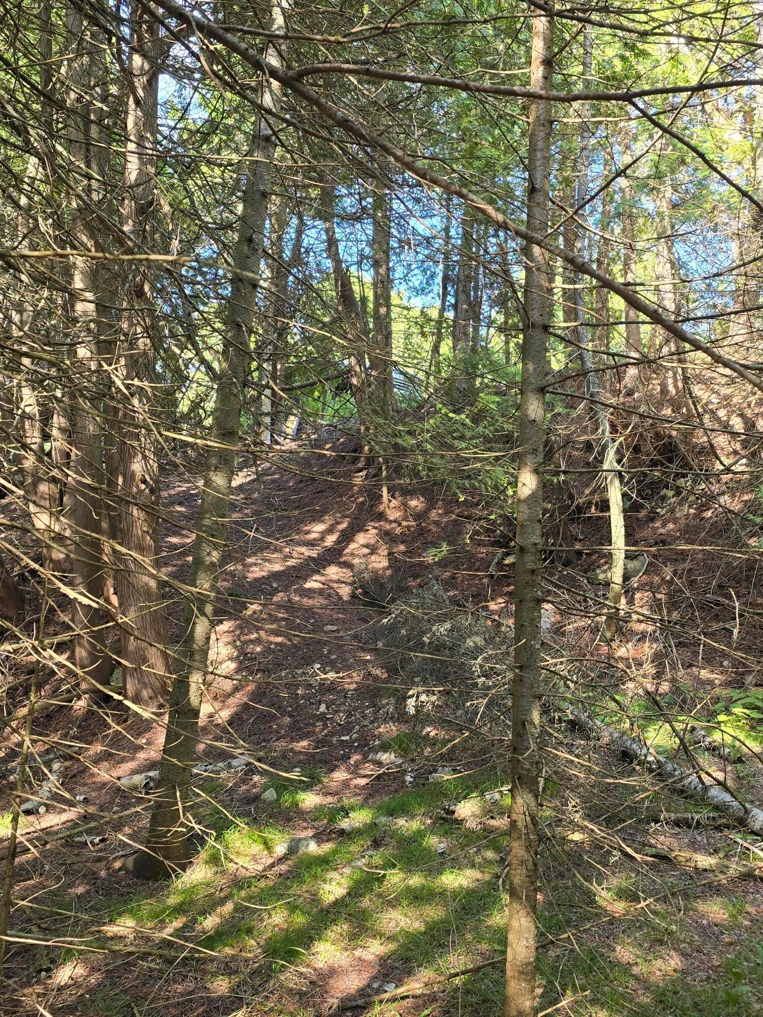 West Gros Cap Road St. Ignace, MI 49781 - Photo 47 of 48 The trail in