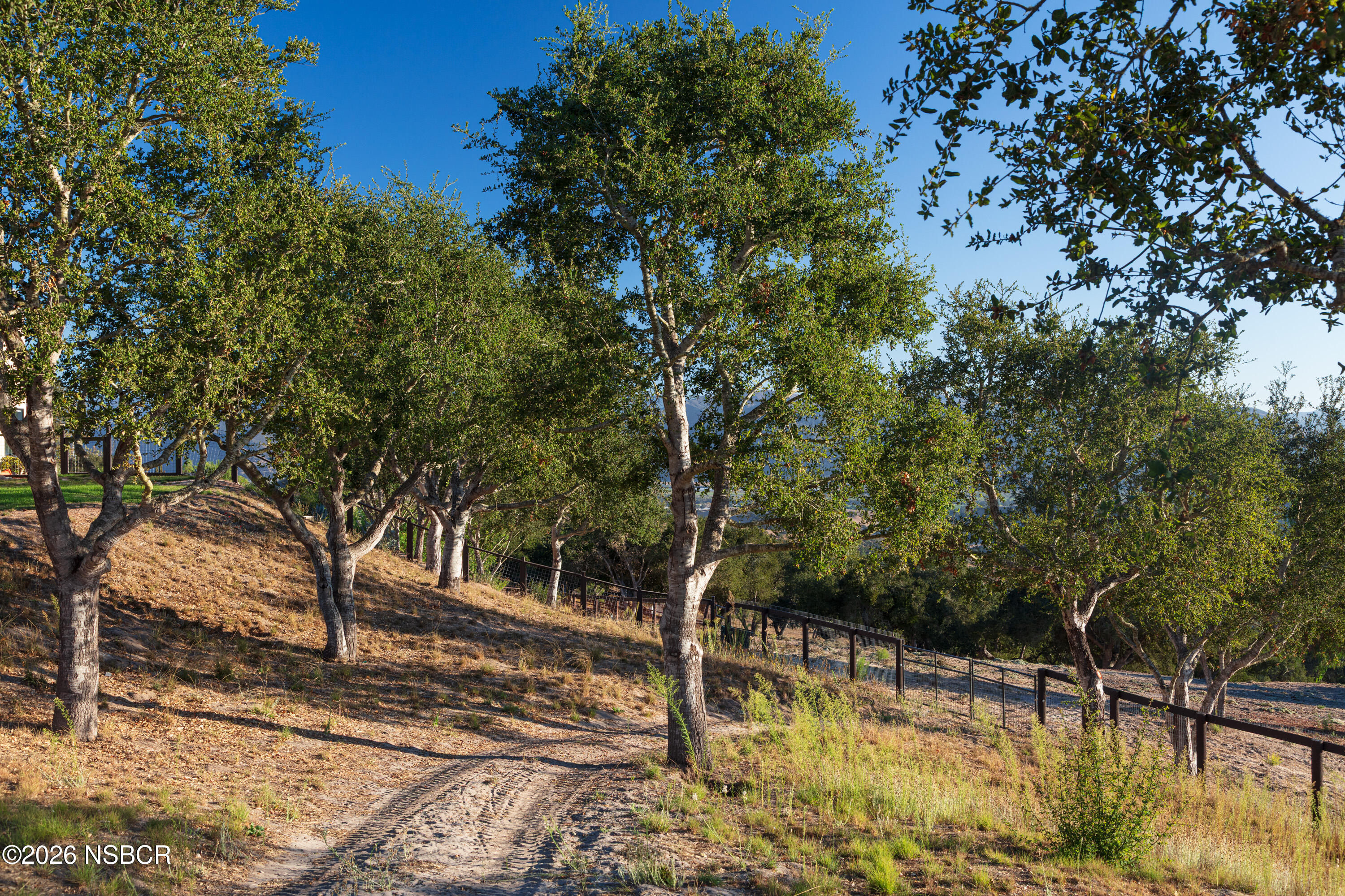 1799 Cougar Ridge Road Buellton, CA 93427 - Photo 37 of 56 Oak Woodland and Fencing