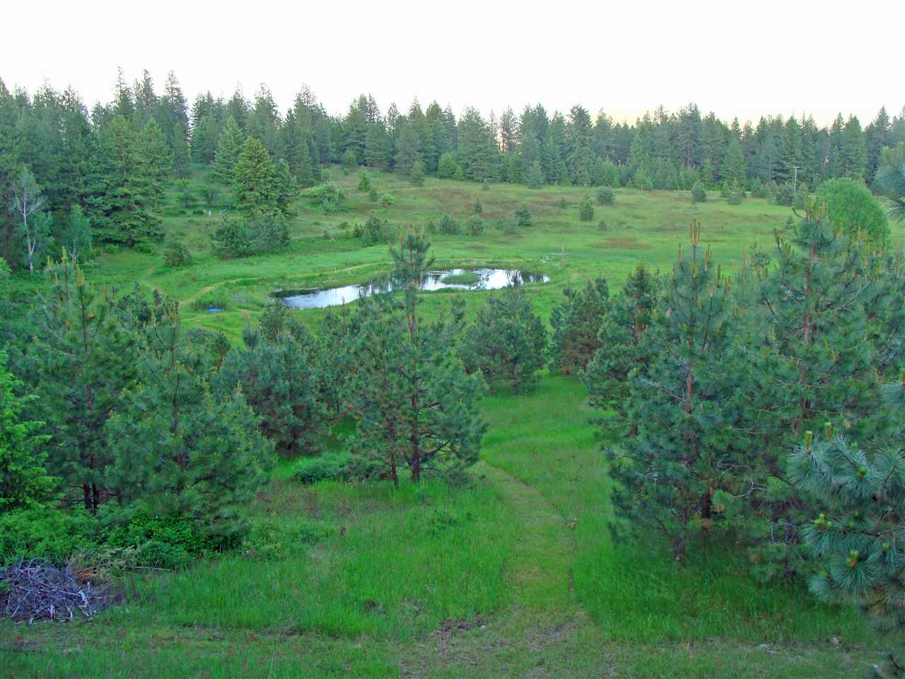 66 X Lindsay Road Colville, WA 99114 - Photo 2 of 16