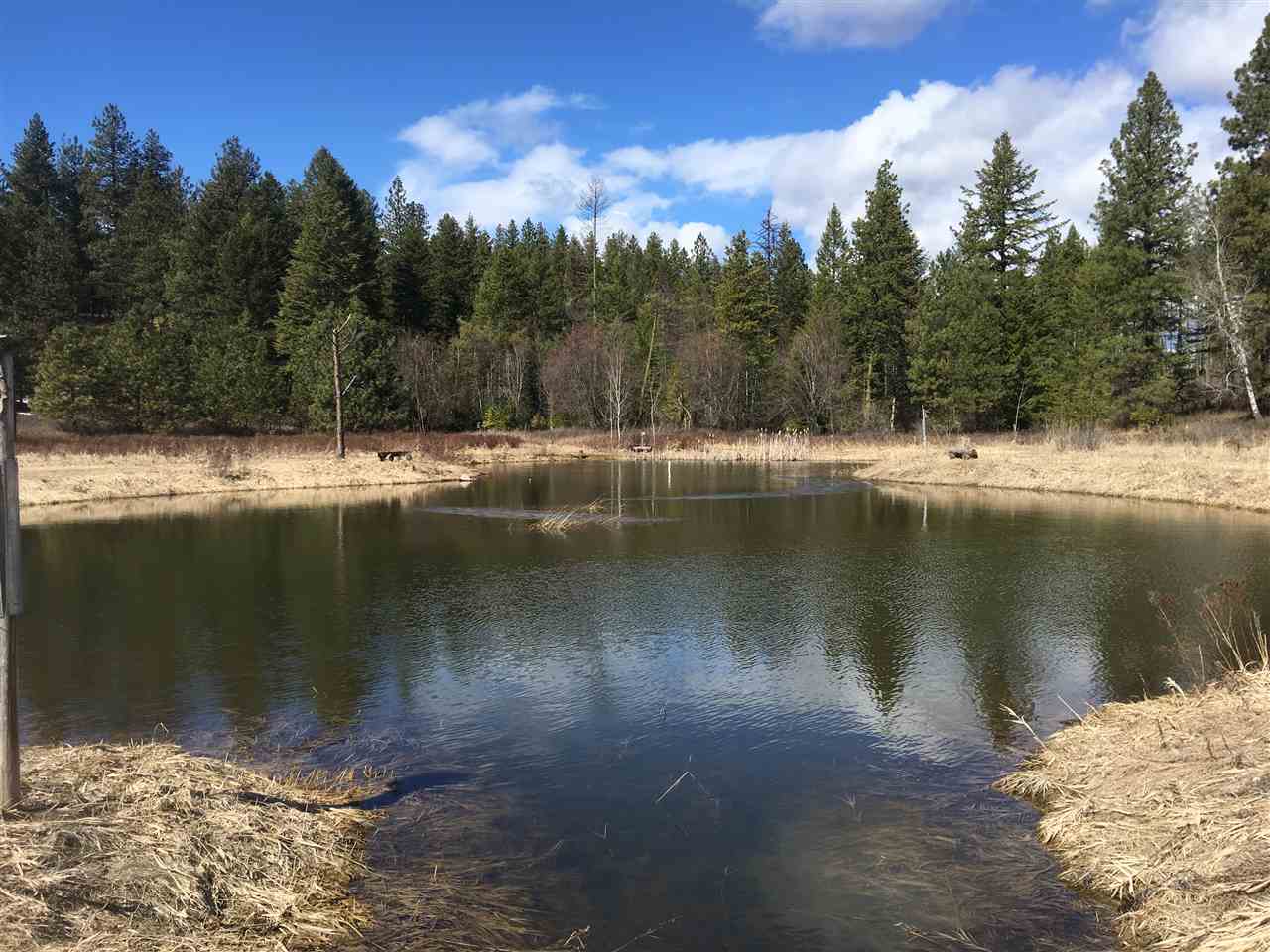 66 X Lindsay Road Colville, WA 99114 - Photo 15 of 16