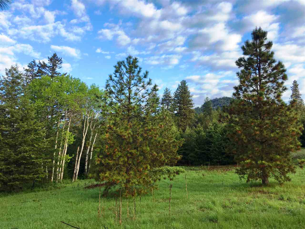 66 X Lindsay Road Colville, WA 99114 - Photo 16 of 16